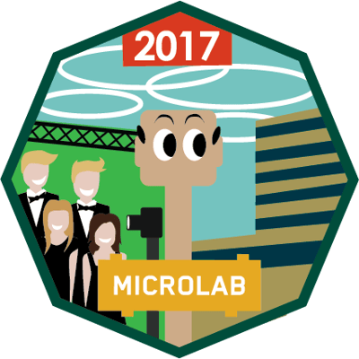 Microlab-Eindhoven-Milestones-2017