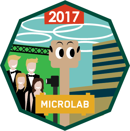 Microlab-Eindhoven-Milestones-2017